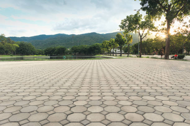 Best Decorative Driveway Pavers  in Pendergrass, GA
